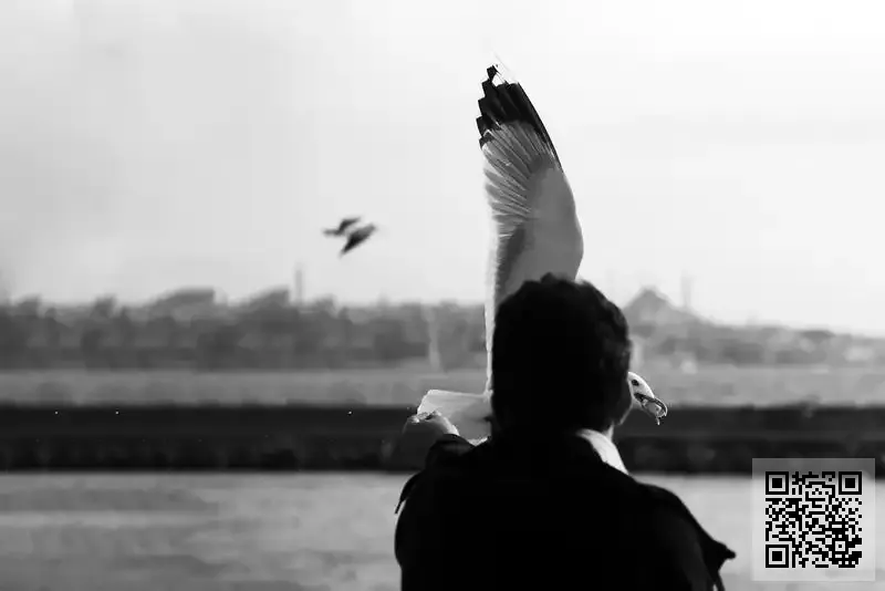 香港卒跡科技有限公司