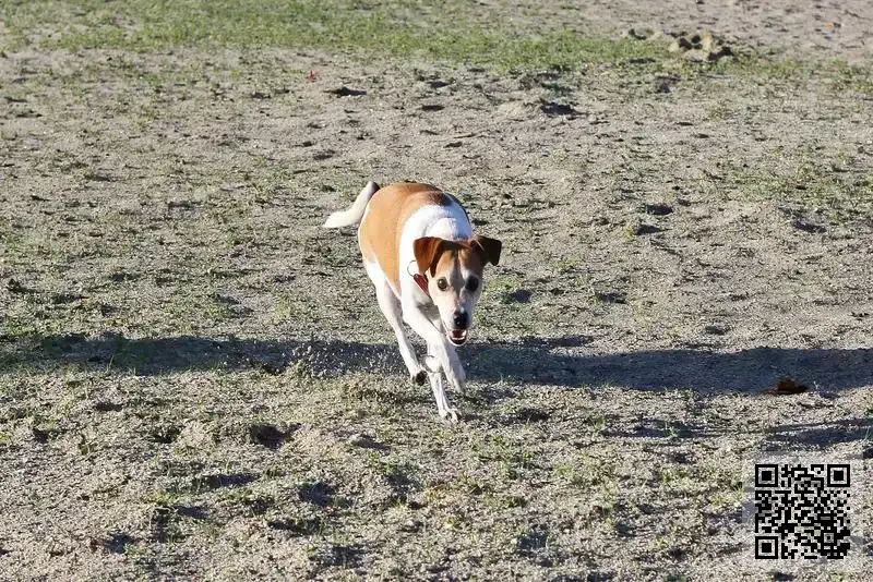 香港夢美投資管理有限公司