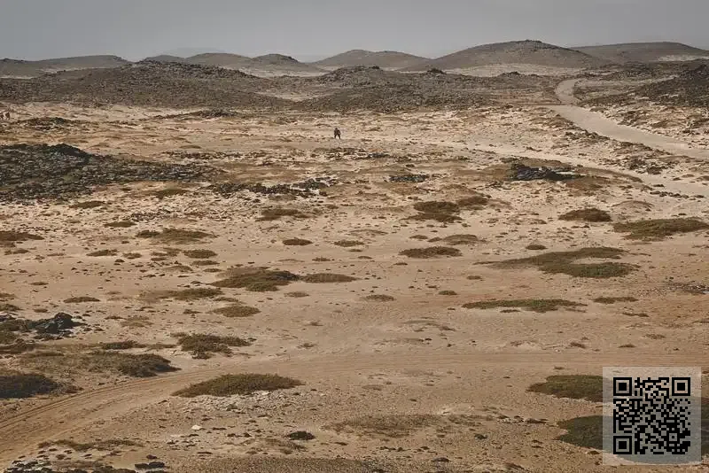 福盈盈有限公司