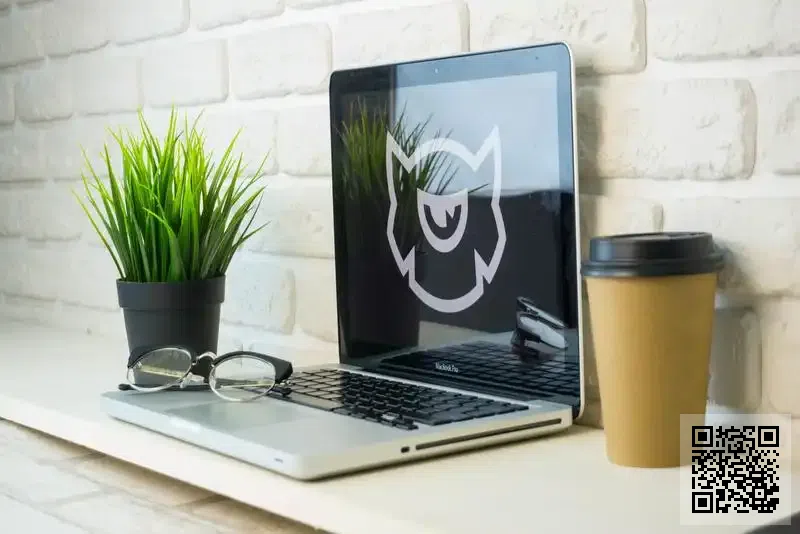 KINOLT HONG KONG LIMITED