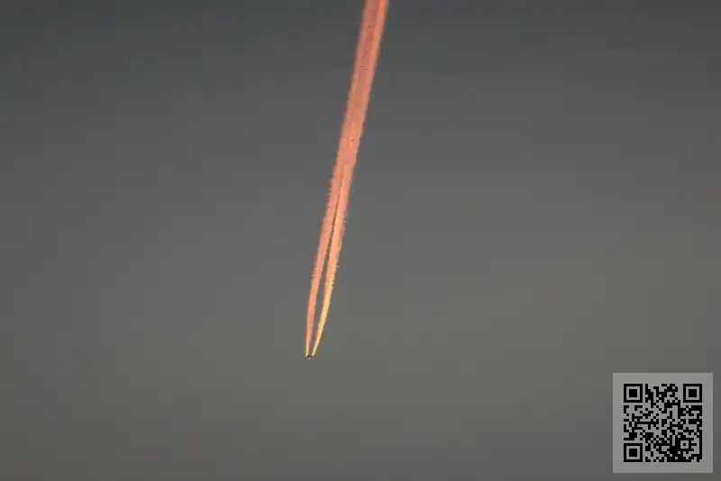 樹迦達資產管理有限公司