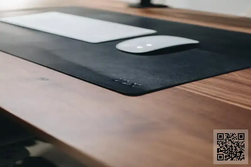 MAHA LAXMI IMPORT & EXPORT LIMITED