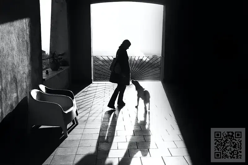 百全本貿易(香港)有限公司