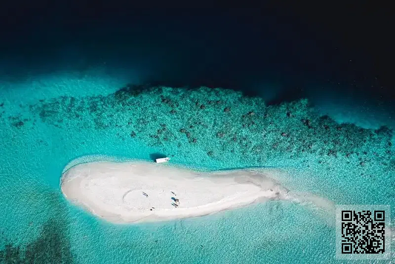 和味堂冰室4有限公司