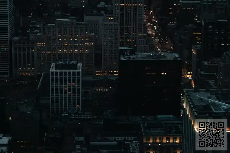 Whale Consultant Limited