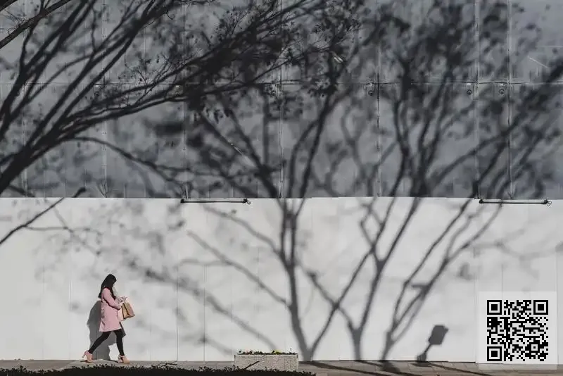 小螞蟻創投基金有限公司