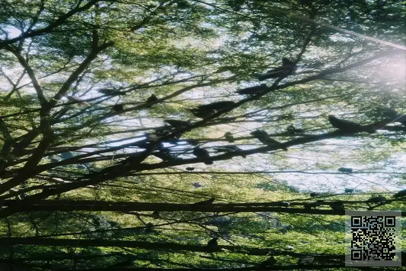 IMMER SOLUTION LIMITED