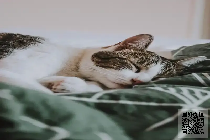 志業針車貿易有限公司