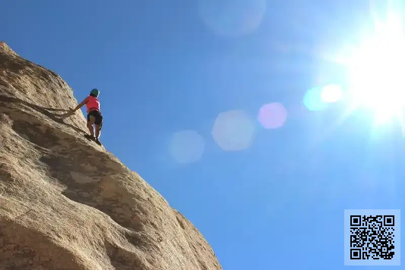 MONCHIB HONGKONG LIMITED