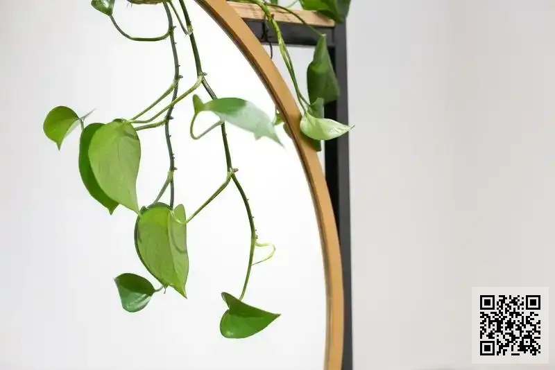 廣源進貿易有限公司