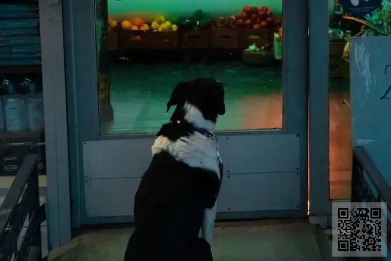 香港唯創有限公司