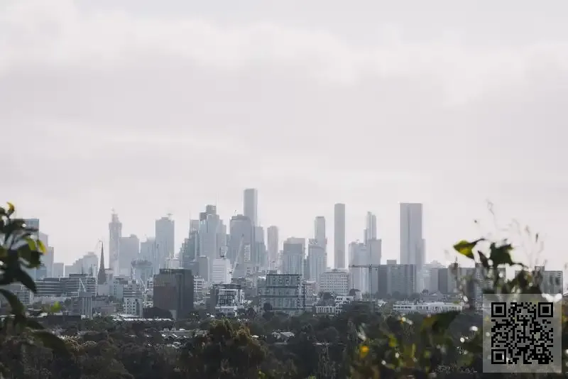 Mockingbird Global Limited