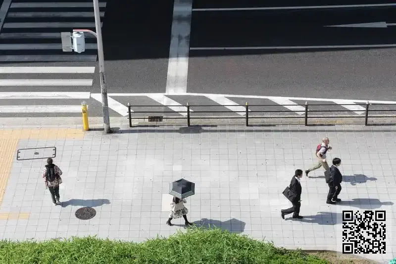 Visual Arts Projects Limited