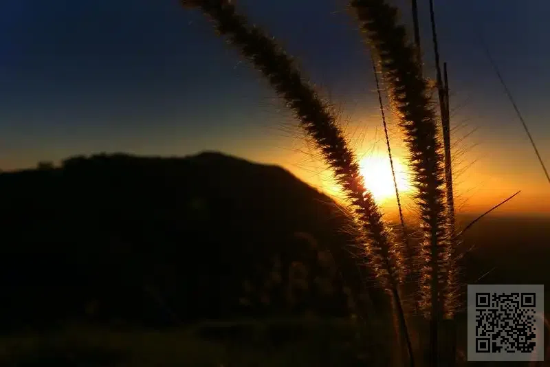 粵港澳大灣區發展研究基金會有限公司