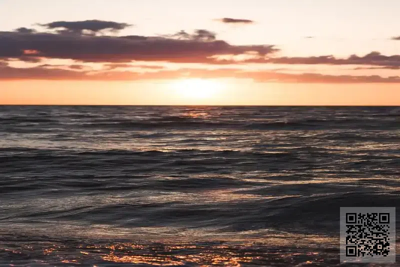 達蘇密出口有限公司