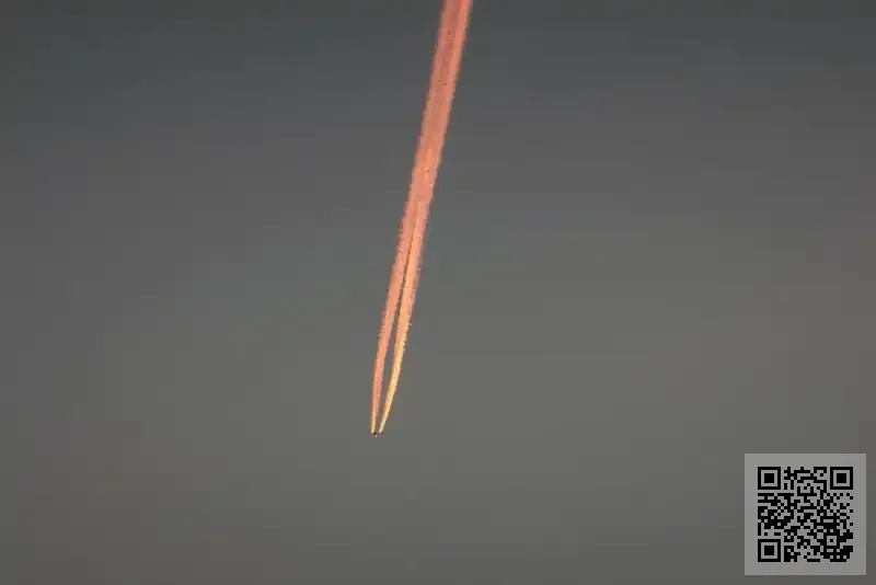 Premier Quality Limited