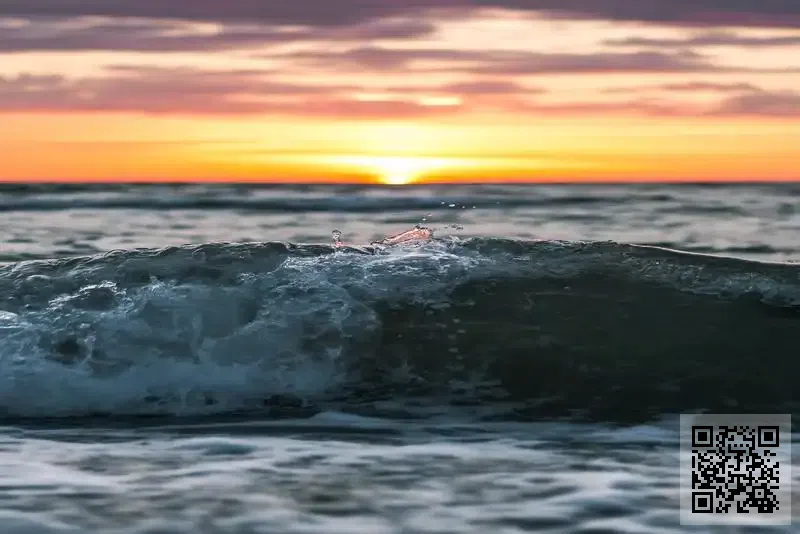 香港文化傳播控股有限公司