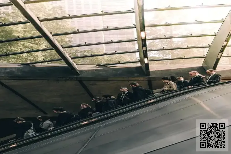 D1 e-Commerce Services (HK) Limited