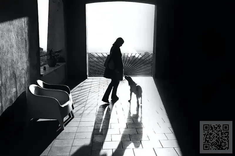 彼易德貿易有限公司