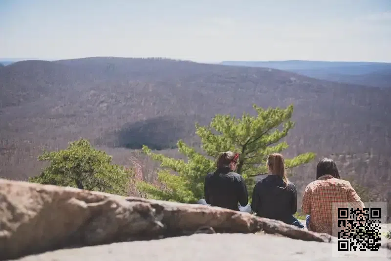 Baksa International Trading Co., Limited