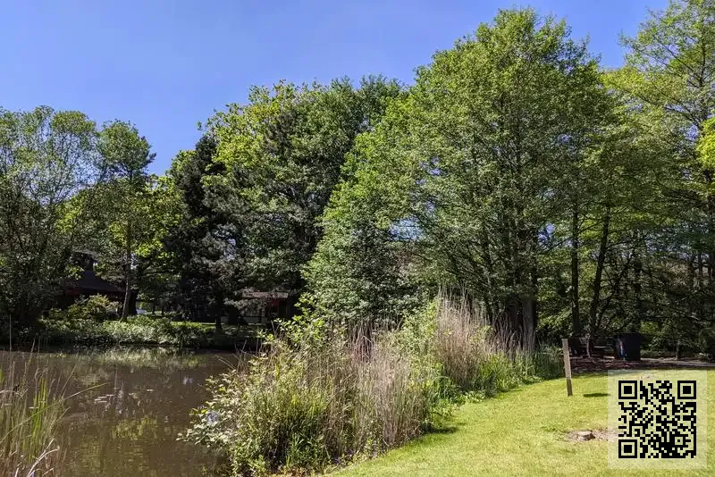 葉興貿易有限公司