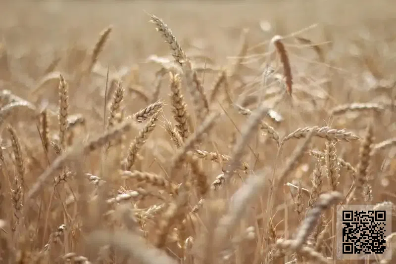 明日加加科技有限公司