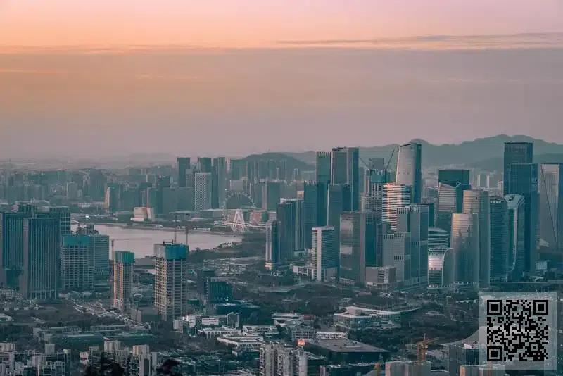 藍鋒電子科技(香港)有限公司