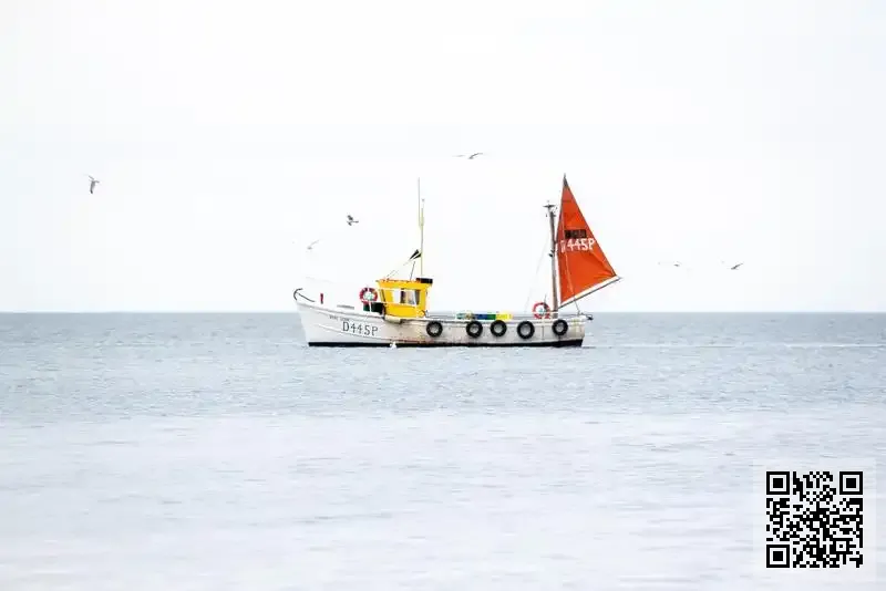 寶血生技有限公司