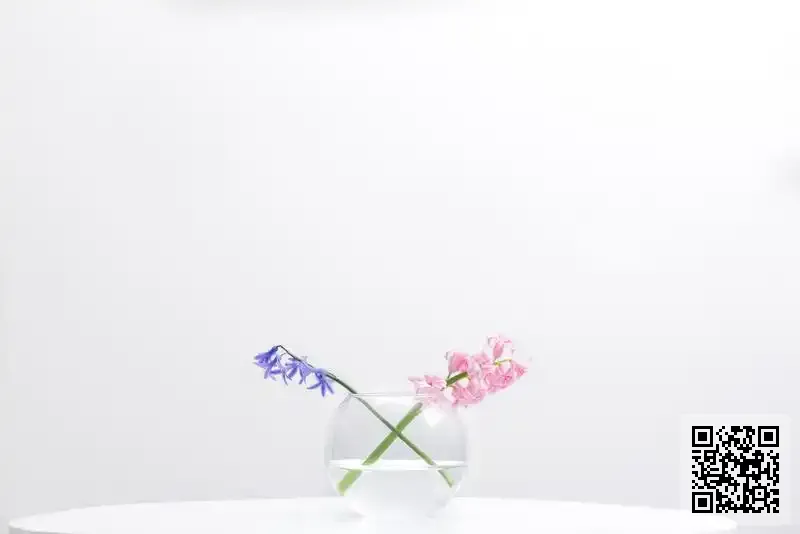 比森科技(香港)有限公司