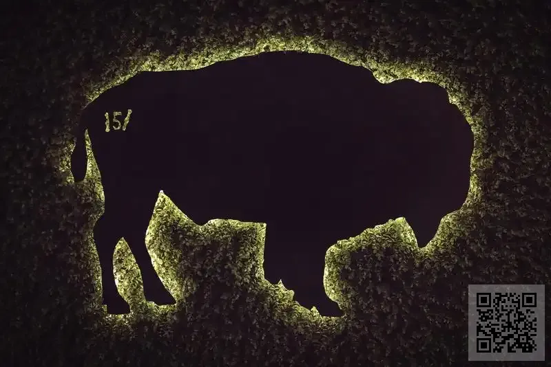 粵港澳大灣區金融青年薈有限公司