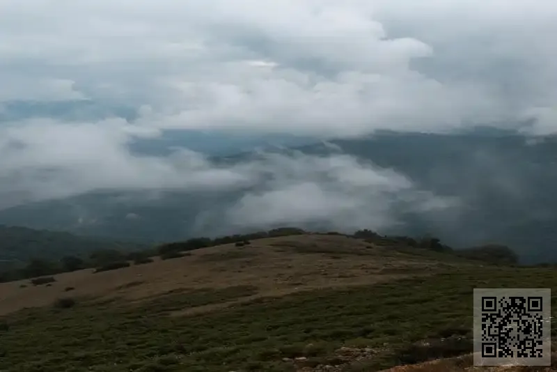 卓勝實業貿易有限公司