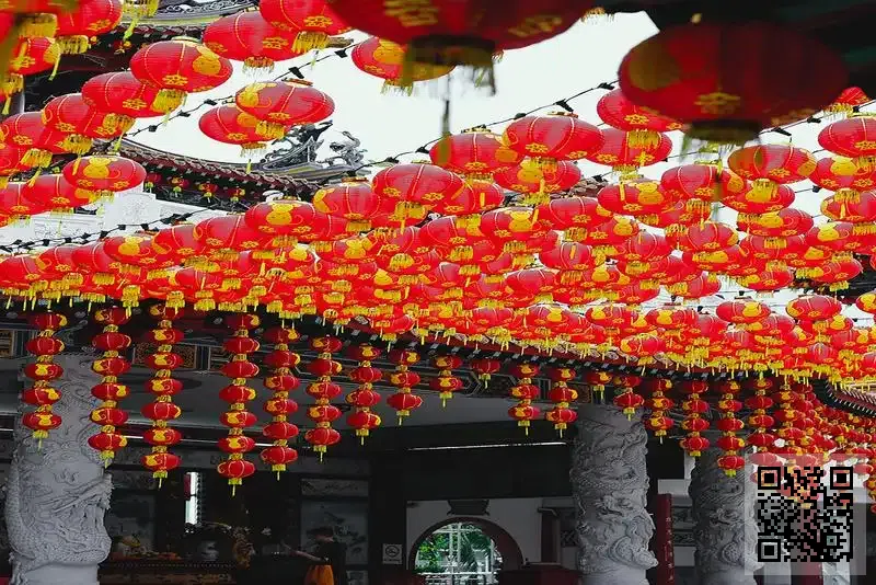 SANE AND STRONG LIMITED