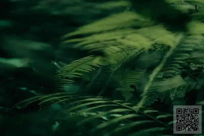 中國紋身紋繡協會有限公司