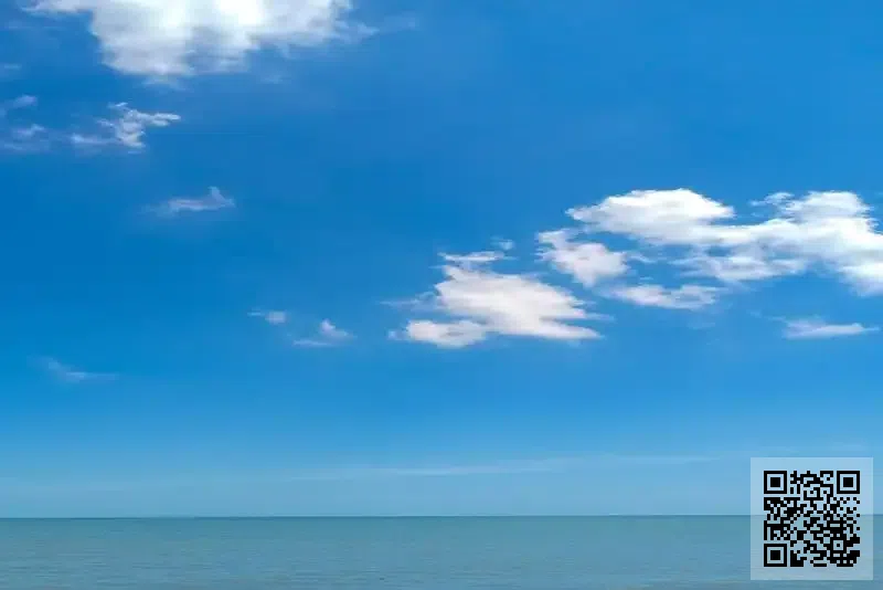 PROPHECY MARKETING INTERNATIONAL LIMITED