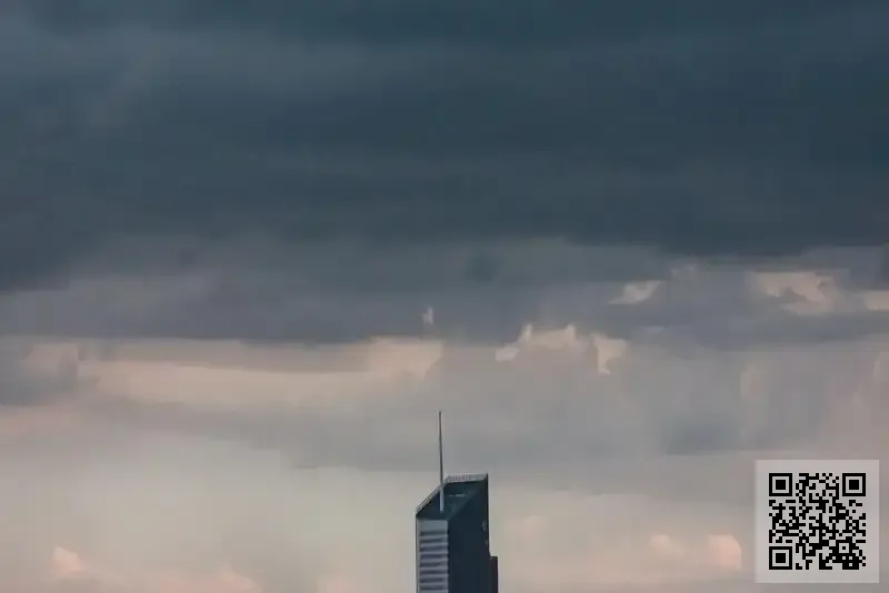 中投金融控股有限公司