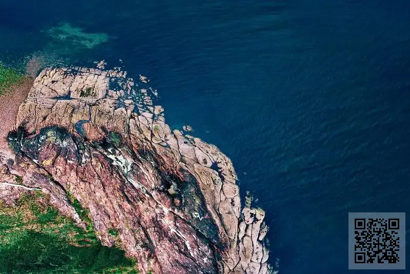 中誠國際資產管理有限公司