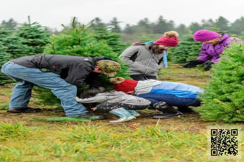 億聯國際股份有限公司